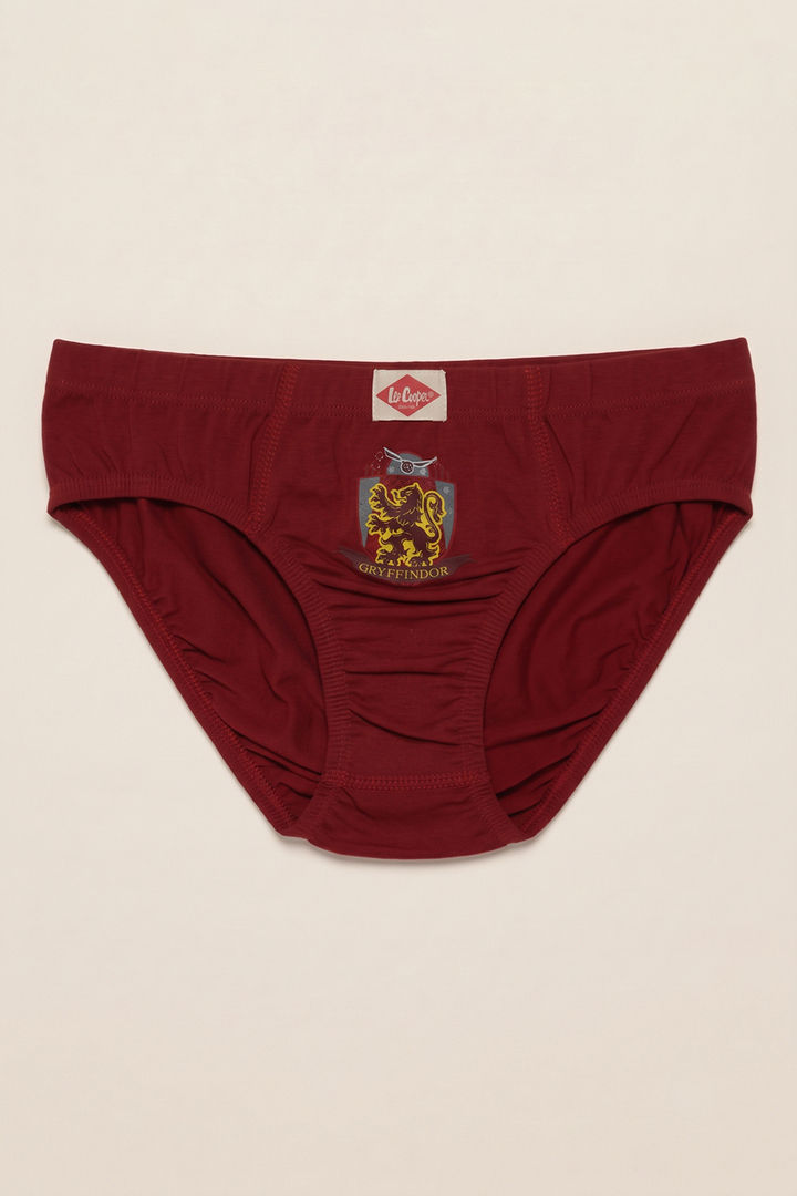 Lee Cooper Boys Harry Potter Briefs (Pack of 3) - Multicolor — image 8